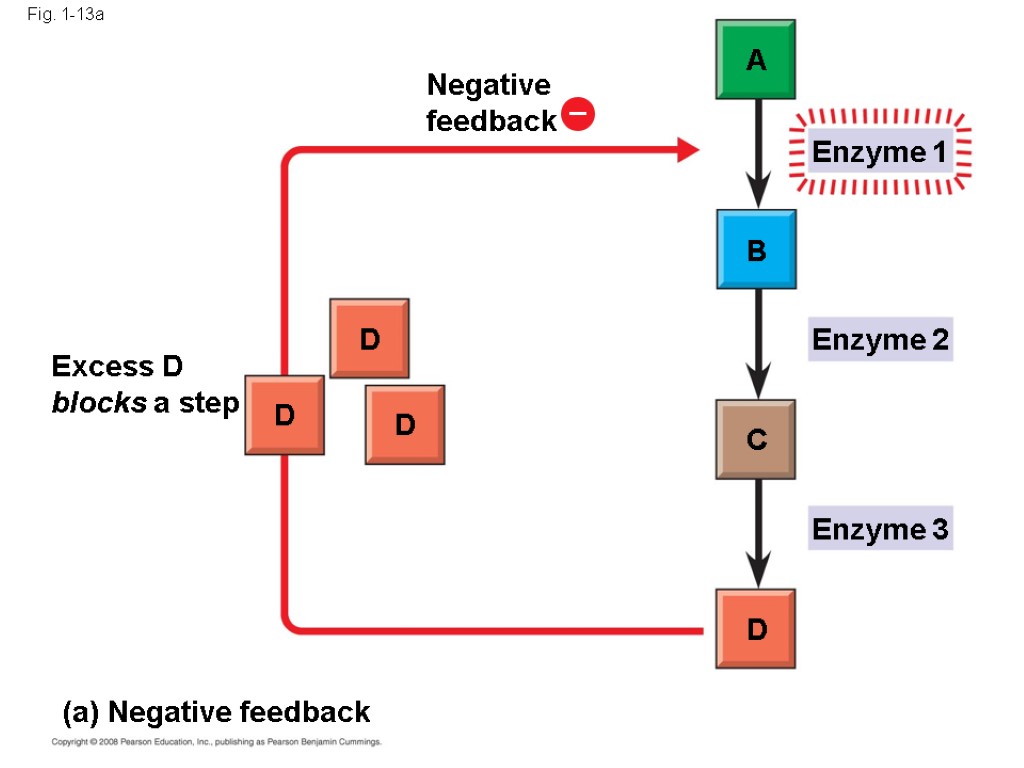 Fig. 1-13a Excess D blocks a step (a) Negative feedback Negative feedback D D